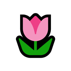 Tulip
