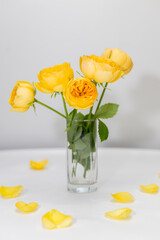Yellow roses on a white background. Yellow petals