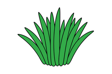 green grass isolated on white background