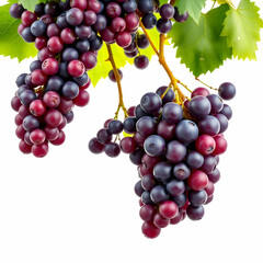 Fototapeta premium Falling grapes isolated on a white background with clipping path whole berries in the air