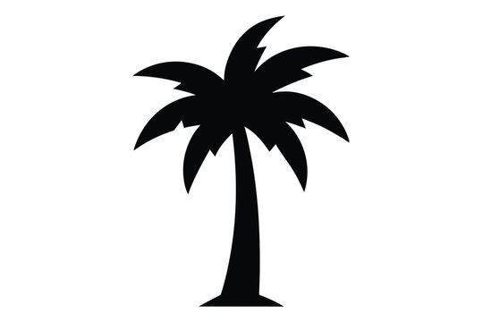 palm tree silhouette