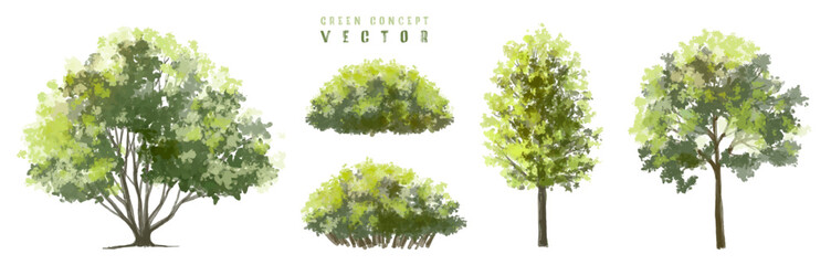Obraz premium Vector watercolor green tree or forest side view isolated on white background for landscape and architecture drawing,elements for environment or and garden,Shrub for section