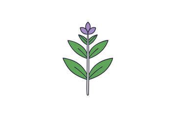 flower isolated on white