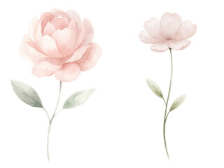 Two flowers are shown in a watercolor painting