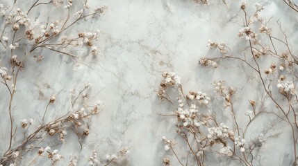 Minimalist background with dried flowers and branches, dried, flowers, branches, minimalist, background, light, airy, delicate. minimalist backgrounds. 