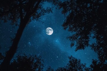 Naklejka premium A serene night sky with a bright moon framed by tree silhouettes.