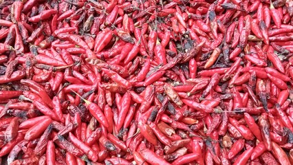 Fototapeta premium red chili peppers. Red hot chili peppers. Stack of vegetables.