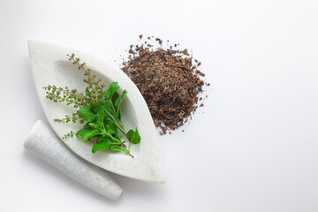 Close-up of fresh organic green Holy Basil or Rama Tulsi (Ocimum sanctum) leaves alongside its dried leaves, placed on a white marble mortar and pestle, isolated on a white background.