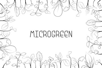 Microgreen leaves and sprouts border in rectangular frame in sketch style with text in center. Vector line art botanical frame illustration on white background. Healthy eating and nutrition concept. 