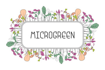 Microgreen leaves and sprouts in rectangular frame with text in center. Botanical illustration in line art style.