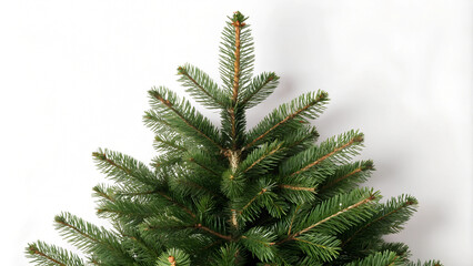 Top View of Christmas Fir Tree Decoration on Pure White Background