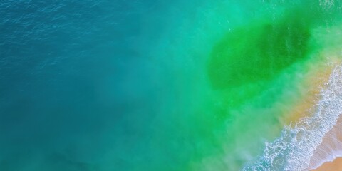 The ocean is blue and the sand is green. The water is calm and the sky is clear