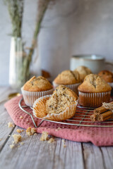 homemade muffins with chocolate chips and rustic background 
