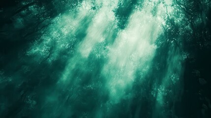 Enchanting Mystical Forest Sunbeams Through Foggy Canopy
