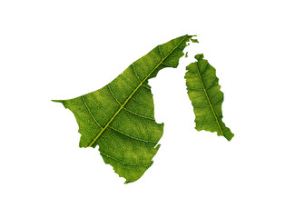 Brunei map made of green leaves on soil background ecology concept
