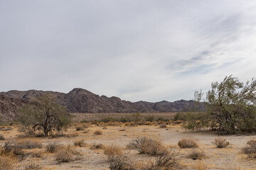 Fototapeta premium Cottonwood Mountains . Colorado Desert section of the Sonoran Desert. Joshua Tree National Park, California.