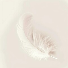Obraz premium white feather isolated on white background