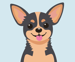 Portrait of a Chihuahua with tongue hanging out