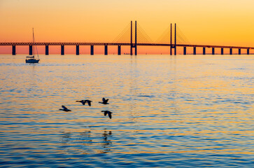 Sunset view of the Oresund bridge, a railway and motorway bridge across the Oresund strait between Denmark and Sweden, with a flight of ducks in the foreground.