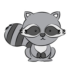 Raccoon, raccoon picture , animal, beautiful images used in general work.