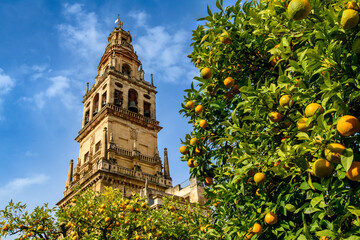 The Bell Tower of  Mosque-Cathedral of Cordoba in the Patio de los Naranjos