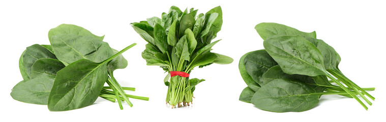 Spinach on a white background