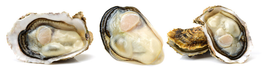 Fresh opened oyster on white background