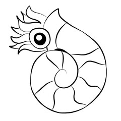 Sea shells, sea shells picture , animal, beautiful images used in general work.