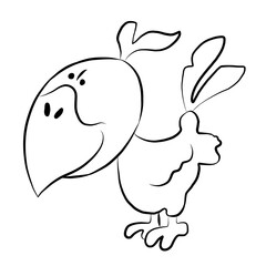 Crow, crow picture , animal, beautiful images used in general work.