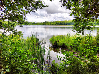 A serene lake surrounded by lush greenery under a cloudy sky in a tranquil natural setting