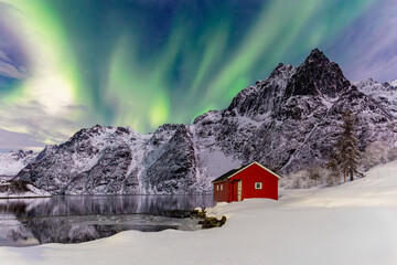 Fototapete bei efototapeten.de bestellen   