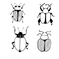 set of cute insect bugs in line art style