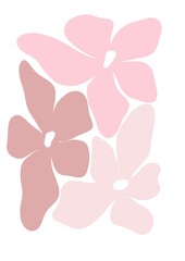 botanical illustration of twigs and flowers line art