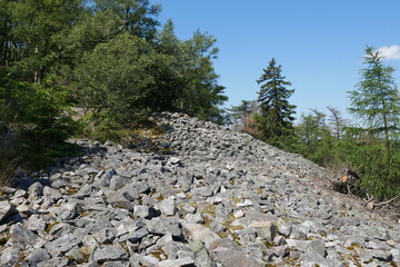 Steinwall eines Oppidums am Altkönig im Taunus