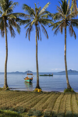 Crab fishing trap set on the shore between palm trees in Kep, Cambodia