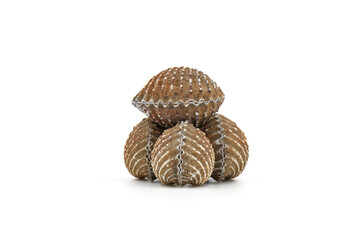cockles isolated on white background. Seafood.