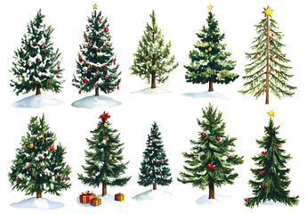 Obraz premium Set of Christmas tree illustrations isolated on a white background, in a cartoon style