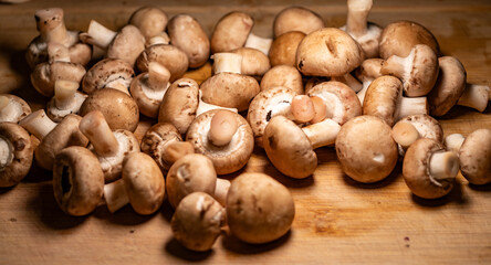 présentation d'une poêlée de champignons de Paris, fraichement préparés sur la table de découpe