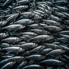 A shimmering group of sardines moving in synchronized formation.