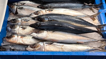 Saba on ice at a seafood restaurant