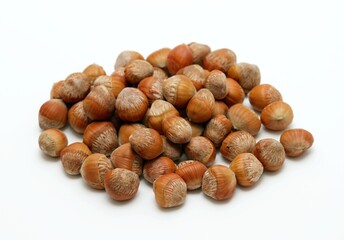 Nuts of Turkish hazel or Turkish filbert, lat.Corylus colurna on white. These edible nuts are ideal rootstock on which to graft the nut-bearing common hazel cultivars.