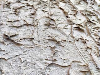 Unique textured wall with intricate patterns providing ample space for text and creative design elements