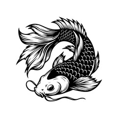 black and white Koi  fishes vector illustration