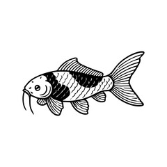 black and white Koi  fishes vector illustration