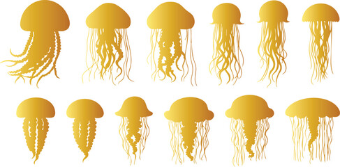 golden Jellyfish Head Silhouette Vector Design
