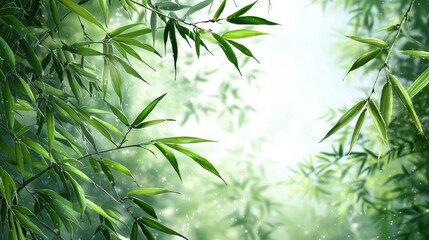 Fototapeta premium Serene Bamboo Grove With Soft Sunlight Filtering Through Leaves