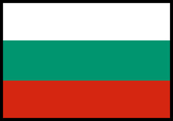 Bulgaria Flag rectangle Icon