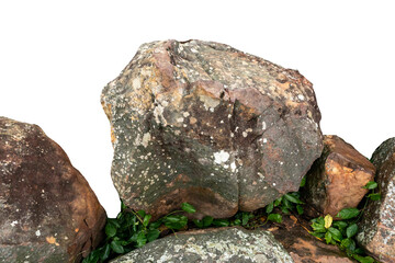 Fototapeta premium The trees.Rocks and Stone on the Mountain .Isolated on White background with clipping path