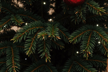 Christmas tree branches needles ornaments lights natural appearance