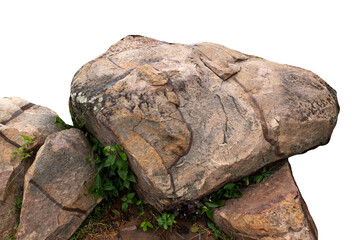 The trees.Rocks and Stone on the Mountain .Isolated on White background with clipping path